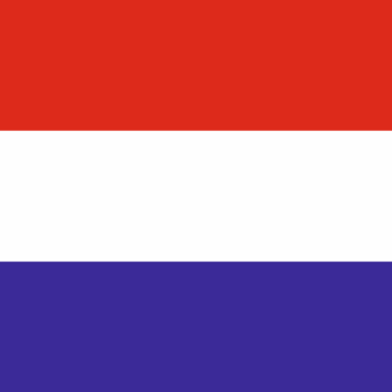 usługi z Holandii